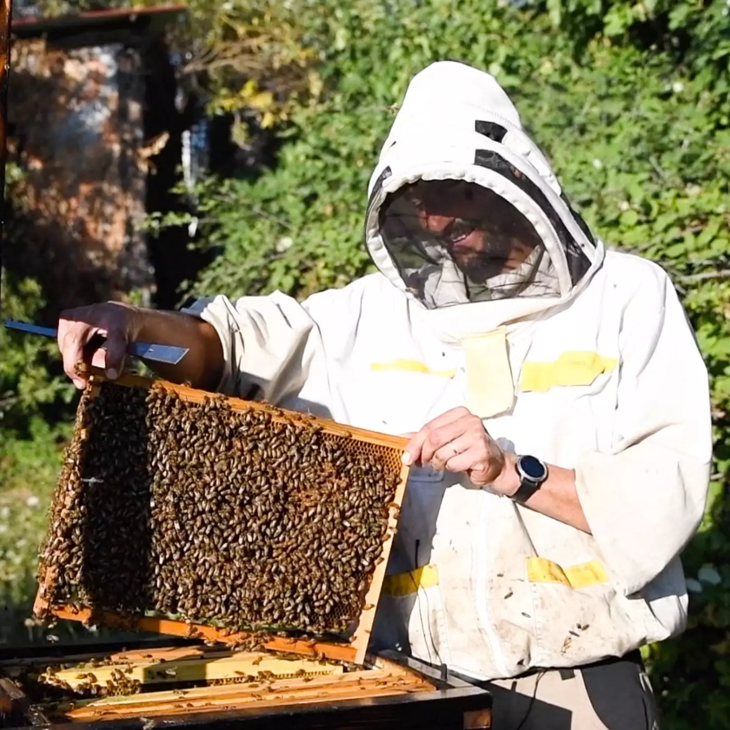 Cómodo traje de apicultor profesional con fácil acceso para
